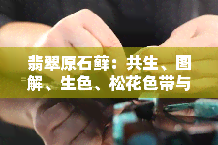 翡翠原石藓：共生、图解、生色、松花色带与枯的区别