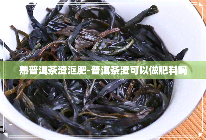 熟普洱茶渣沤肥-普洱茶渣可以做肥料吗