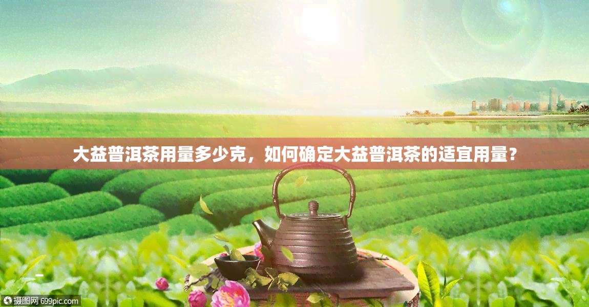 大益普洱茶用量多少克，如何确定大益普洱茶的适宜用量？