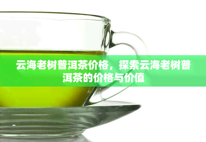 云海老树普洱茶价格，探索云海老树普洱茶的价格与价值