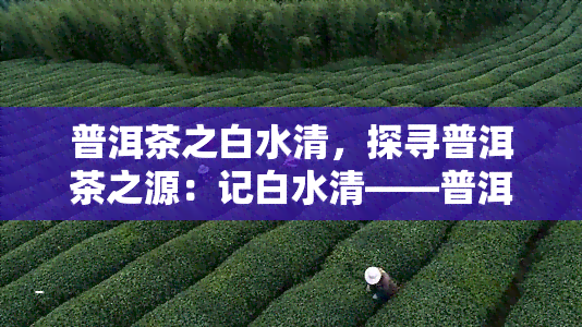 普洱茶之白水清，探寻普洱茶之源：记白水清——普洱茶之