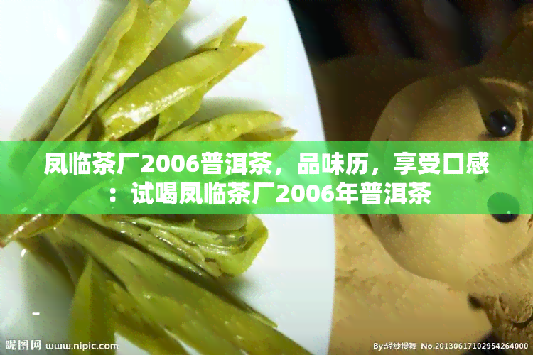 凤临茶厂2006普洱茶，品味历，享受口感：试喝凤临茶厂2006年普洱茶