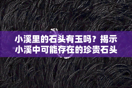 小溪里的石头有玉吗？揭示小溪中可能存在的珍贵石头种类与价值