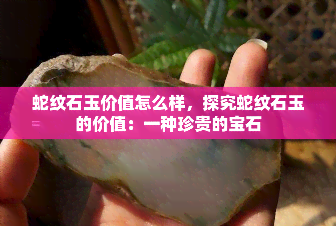 蛇纹石玉价值怎么样，探究蛇纹石玉的价值：一种珍贵的宝石