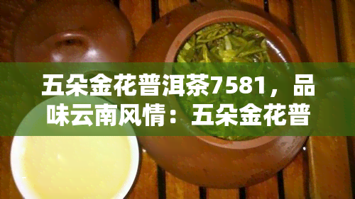 五朵金花普洱茶7581，品味云南风情：五朵金花普洱茶7581的美妙滋味