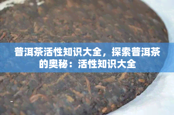 普洱茶活性知识大全，探索普洱茶的奥秘：活性知识大全