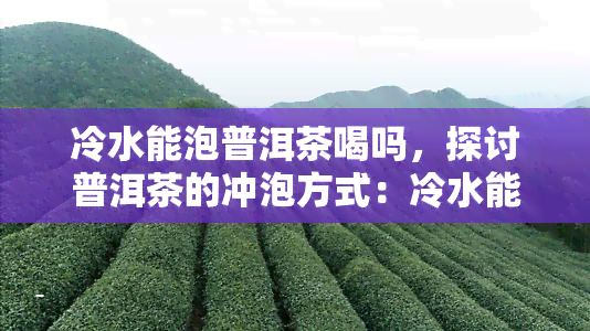 冷水能泡普洱茶喝吗，探讨普洱茶的冲泡方式：冷水能否用来泡普洱茶？