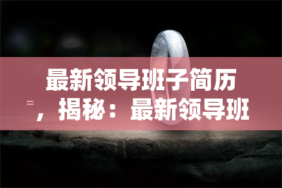 最新领导班子简历，揭秘：最新领导班子成员简历大公开