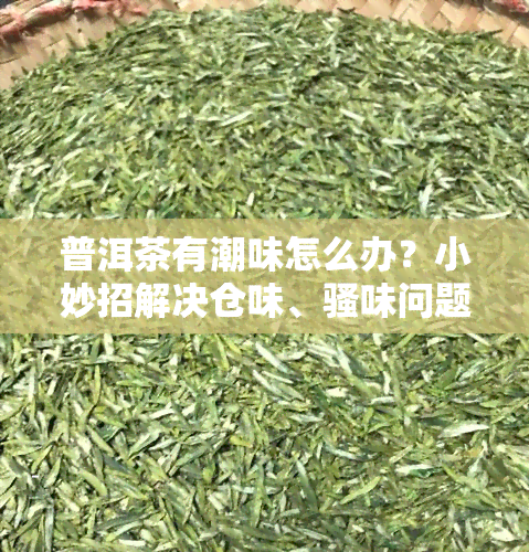 普洱茶有潮味怎么办？小妙招解决仓味、骚味问题！