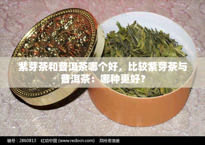 紫芽茶和普洱茶哪个好，比较紫芽茶与普洱茶：哪种更好？