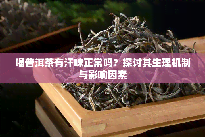 喝普洱茶有汗味正常吗？探讨其生理机制与影响因素