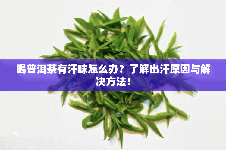 喝普洱茶有汗味怎么办？了解出汗原因与解决方法！