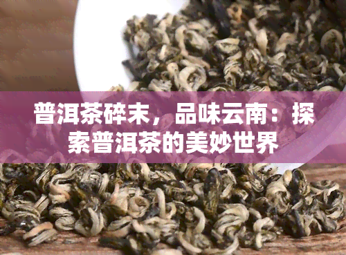 普洱茶碎末，品味云南：探索普洱茶的美妙世界