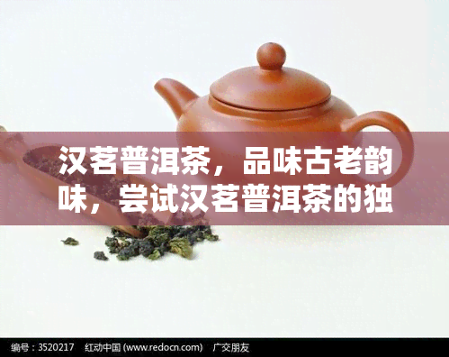 汉茗普洱茶，品味古老韵味，尝试汉茗普洱茶的独特魅力