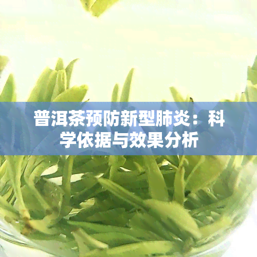 普洱茶预防新型：科学依据与效果分析