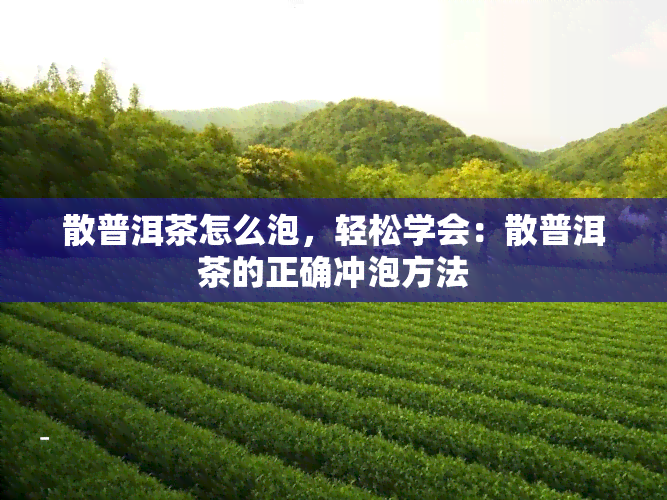 散普洱茶怎么泡，轻松学会：散普洱茶的正确冲泡方法