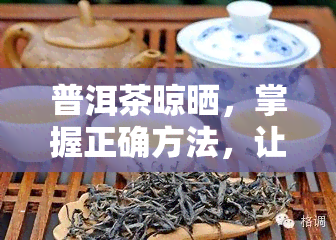 普洱茶晾晒，掌握正确方法，让普洱茶在晾晒中焕发更美妙的香气！