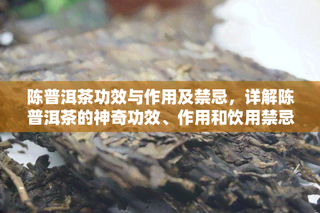 陈普洱茶功效与作用及禁忌，详解陈普洱茶的神奇功效、作用和饮用禁忌，你不可不知！