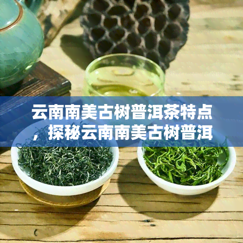 云南南美古树普洱茶特点，探秘云南南美古树普洱茶的独特魅力与特点