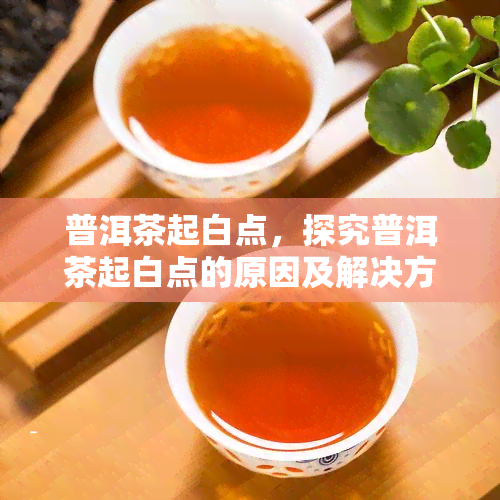 普洱茶起白点，探究普洱茶起白点的原因及解决方法