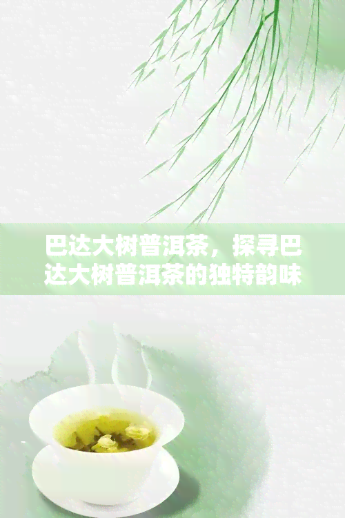 巴达大树普洱茶，探寻巴达大树普洱茶的独特韵味与历渊源