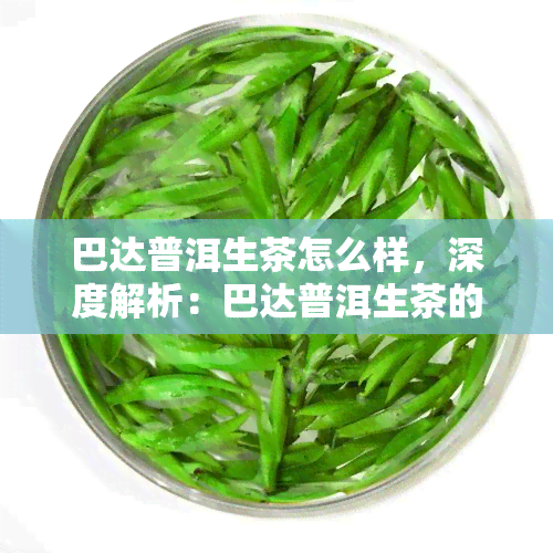 巴达普洱生茶怎么样，深度解析：巴达普洱生茶的品质与口感