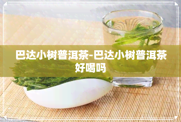 巴达小树普洱茶-巴达小树普洱茶好喝吗