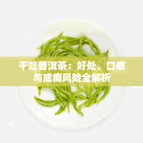 干吃普洱茶：好处、口感与成瘾风险全解析