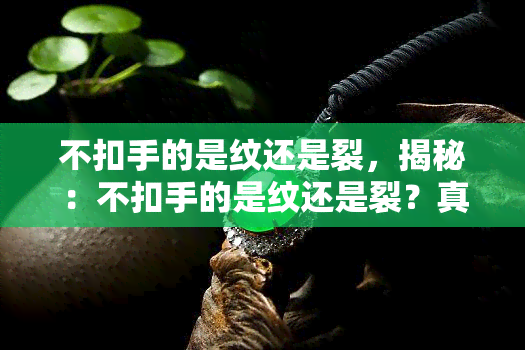 不扣手的是纹还是裂，揭秘：不扣手的是纹还是裂？真相在这里！