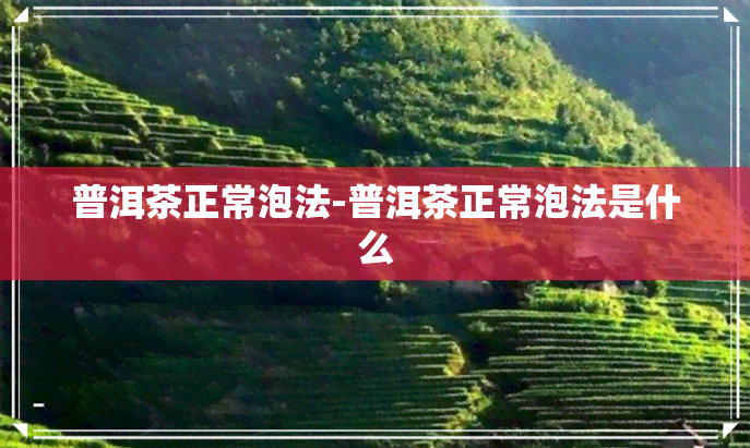 普洱茶正常泡法-普洱茶正常泡法是什么