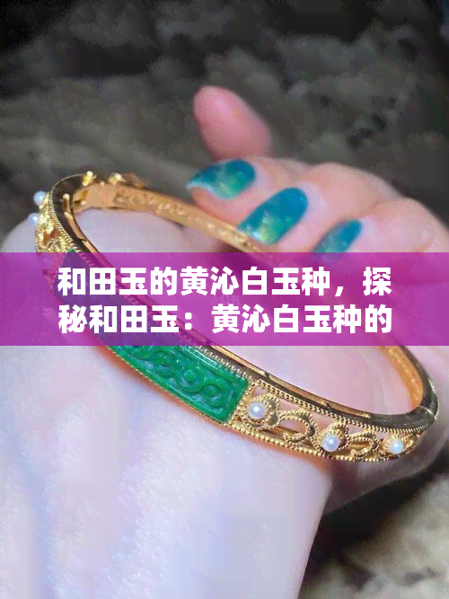 和田玉的黄沁白玉种，探秘和田玉：黄沁白玉种的魅力与价值