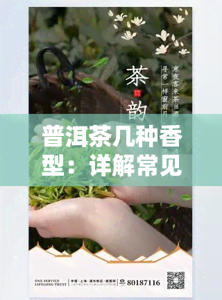 普洱茶几种香型：详解常见香型及其区别与特点