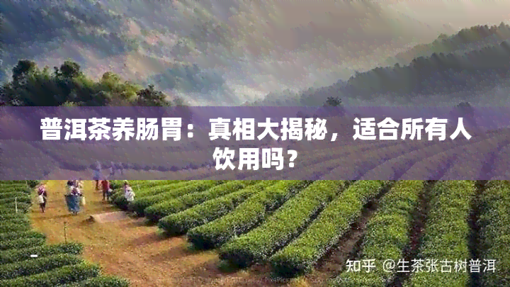 普洱茶养肠胃：真相大揭秘，适合所有人饮用吗？