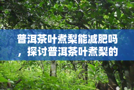 普洱茶叶煮梨能减肥吗，探讨普洱茶叶煮梨的减肥效果，这种方法真的可行吗？