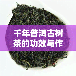 千年普洱古树茶的功效与作用及禁忌：了解其特点、口感和图片