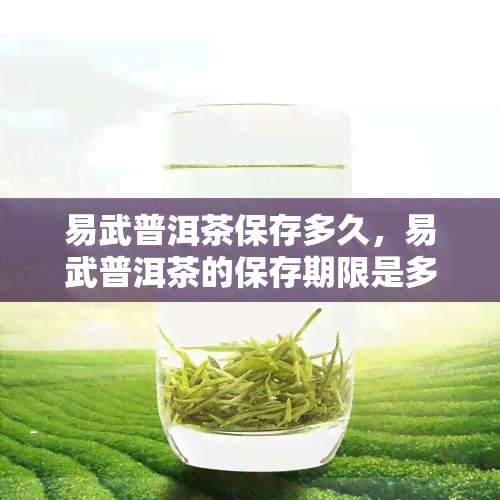 易武普洱茶保存多久，易武普洱茶的保存期限是多久？