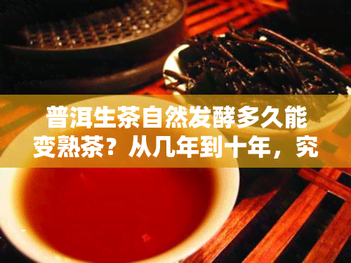 普洱生茶自然发酵多久能变熟茶？从几年到十年，究竟哪个时间？