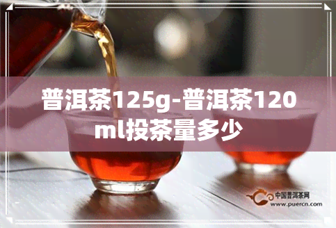 普洱茶125g-普洱茶120ml投茶量多少