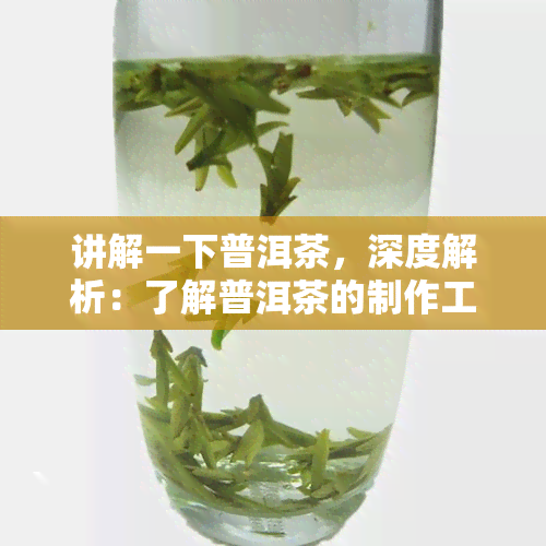 讲解一下普洱茶，深度解析：了解普洱茶的制作工艺、特点和品鉴方法