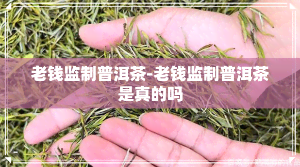 老钱监制普洱茶-老钱监制普洱茶是真的吗