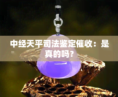 中经天平司法鉴定：是真的吗？