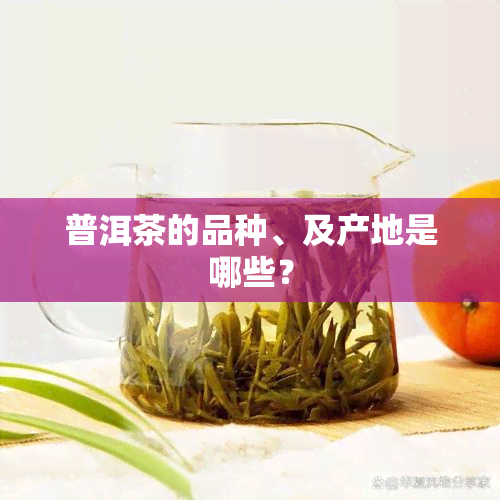 普洱茶的品种、及产地是哪些？