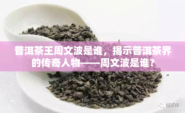 普洱茶王周文波是谁，揭示普洱茶界的传奇人物——周文波是谁？