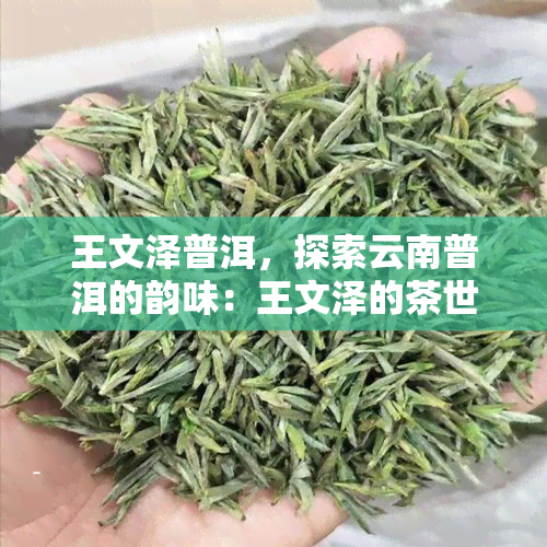 王文泽普洱，探索云南普洱的韵味：王文泽的茶世界