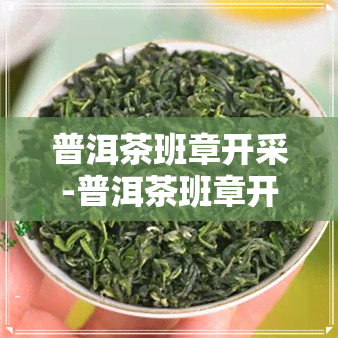 普洱茶班章开采-普洱茶班章开采多少年