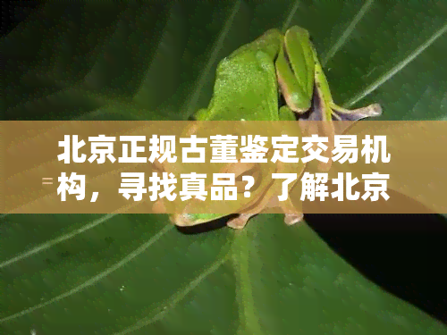 北京正规古董鉴定交易机构，寻找真品？了解北京正规古董鉴定交易机构！