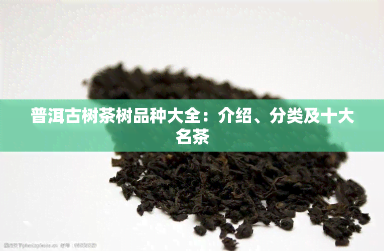 普洱古树茶树品种大全：介绍、分类及十大名茶