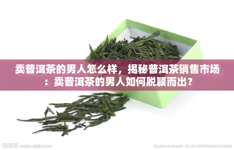 卖普洱茶的男人怎么样，揭秘普洱茶销售市场：卖普洱茶的男人如何脱颖而出？