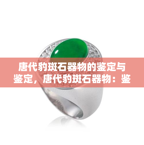 唐代豹斑石器物的鉴定与鉴定，唐代豹斑石器物：鉴定方法与实践研究