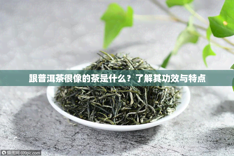 跟普洱茶很像的茶是什么？了解其功效与特点